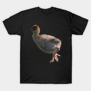 Southern Screamer chick T-Shirt